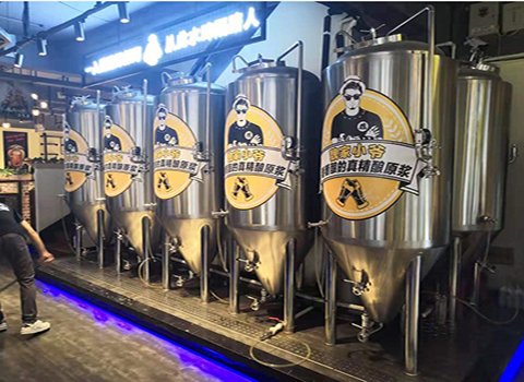 啤酒發(fā)酵罐 啤酒發(fā)酵罐